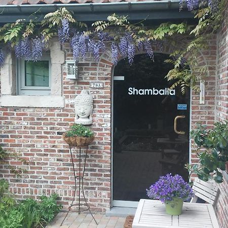 Shamballa B & B/ Logies Дейнзе Экстерьер фото