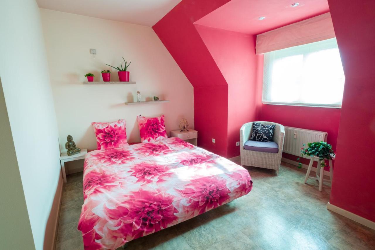 Shamballa B & B/ Logies Дейнзе Экстерьер фото